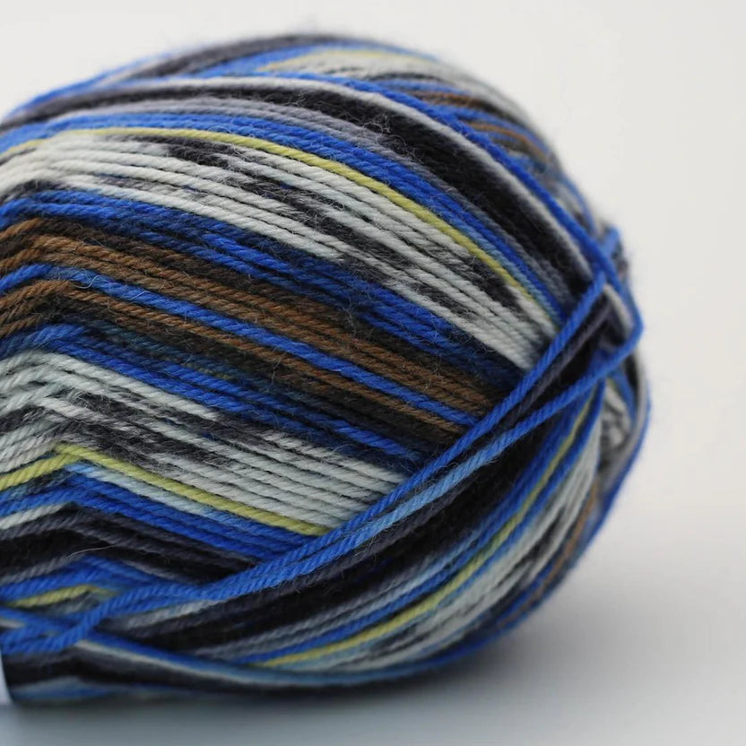 Socks & More Collection 4ply 100gr
