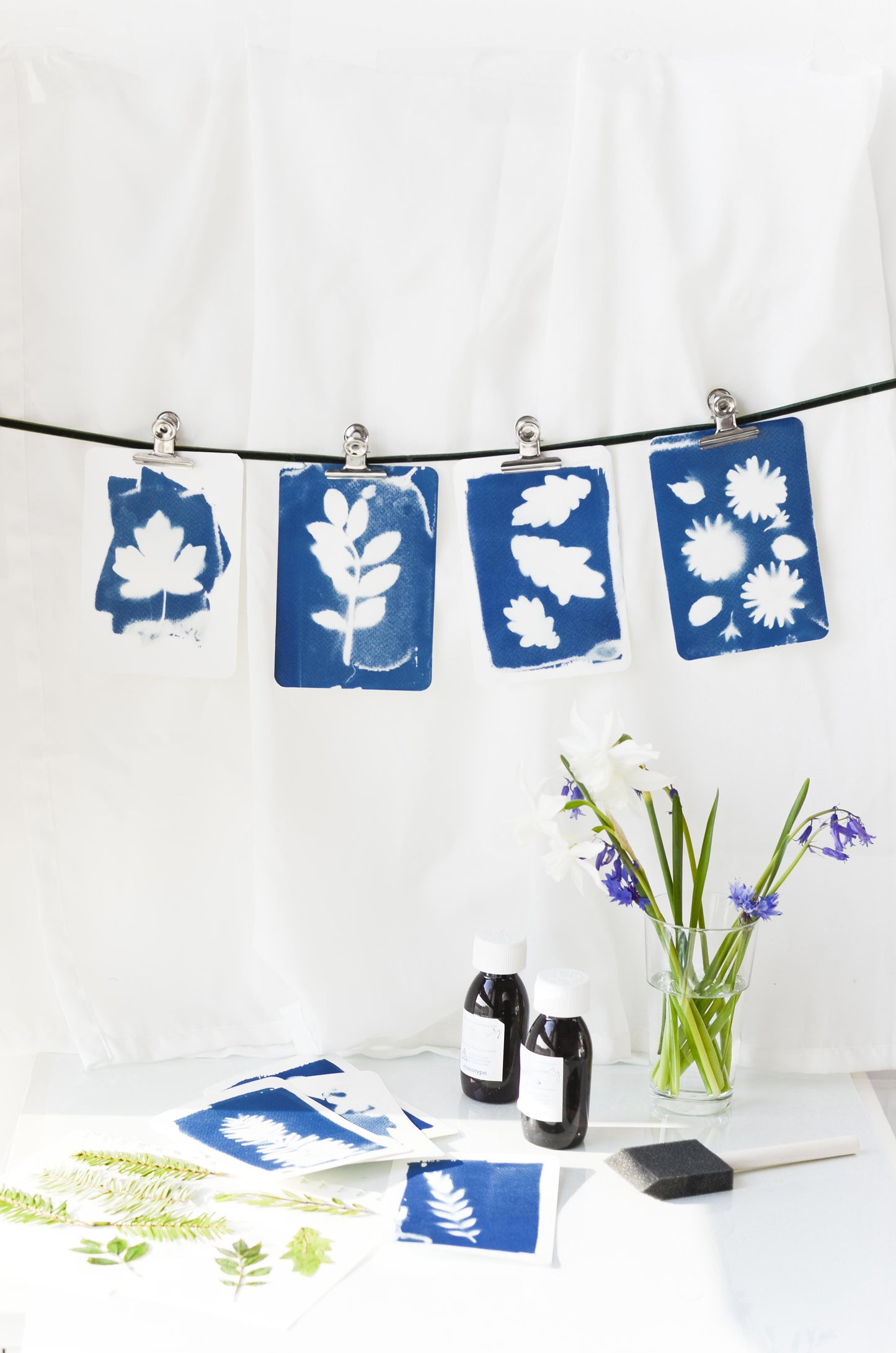 Kit Deco - Mon atelier cyanotype