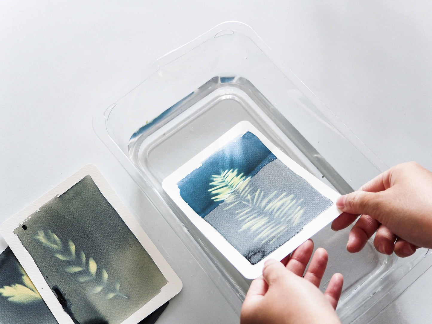 Kit Deco - Mon atelier cyanotype