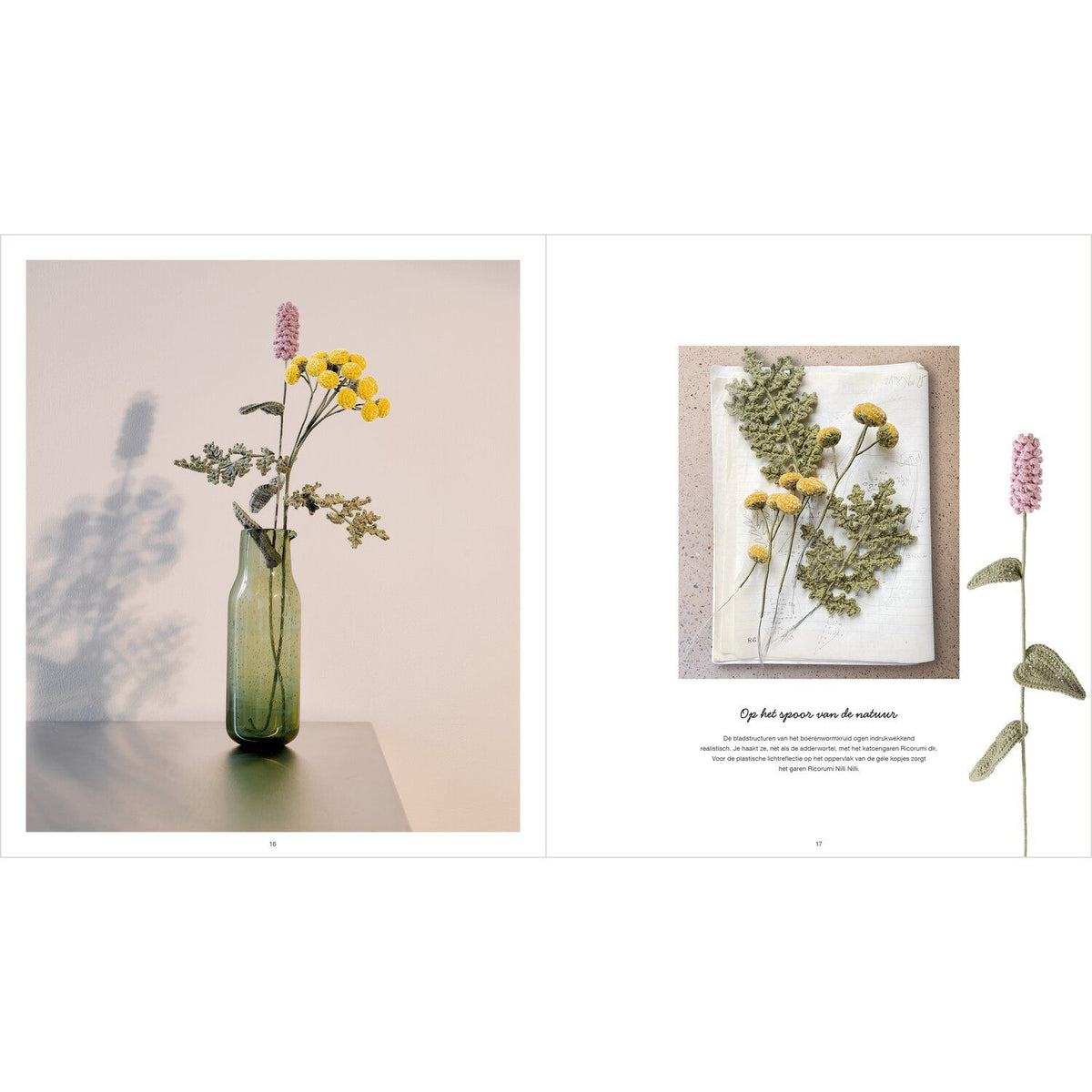 Livre Ricorumi In the Meadow