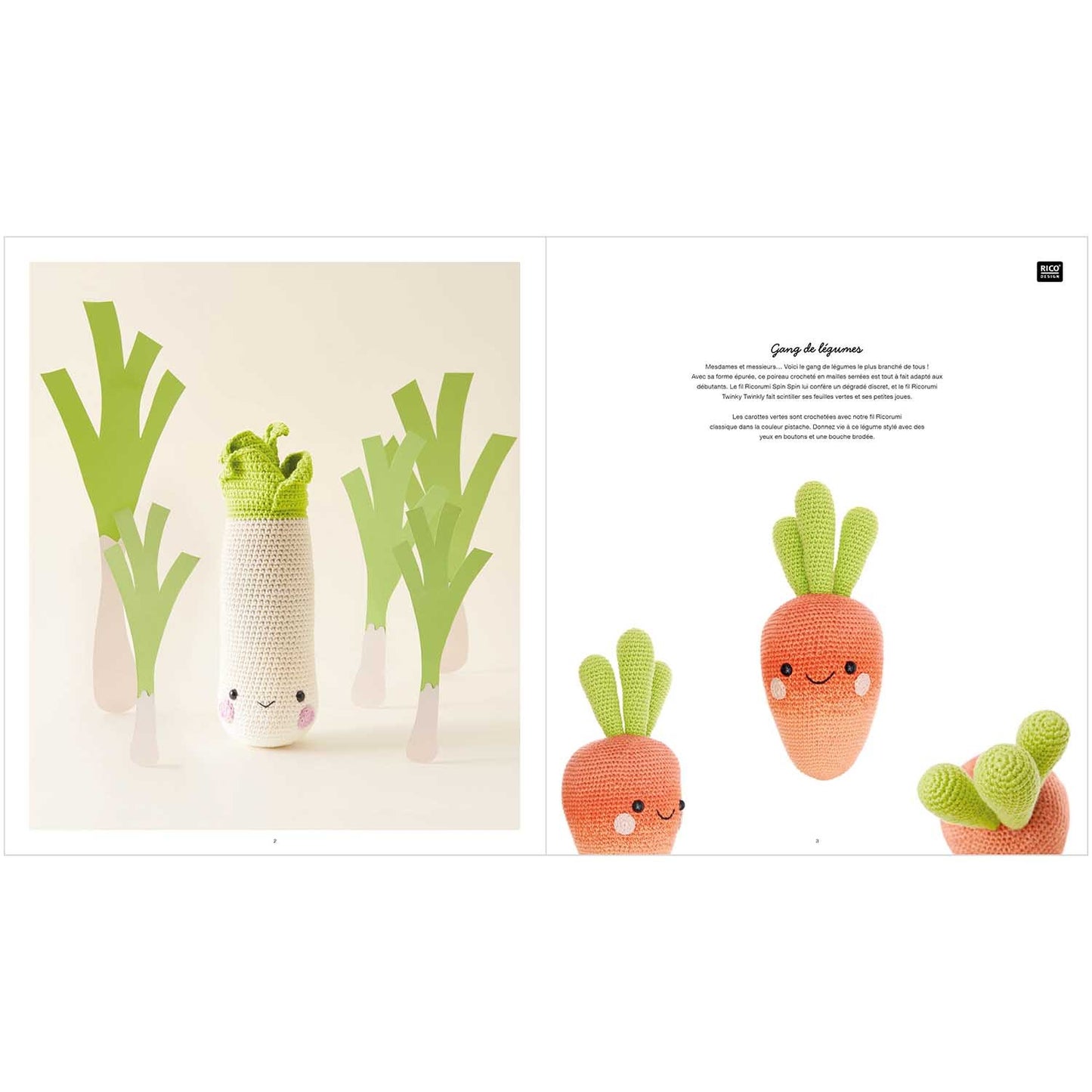 Livre Ricorumi Fresh Friends