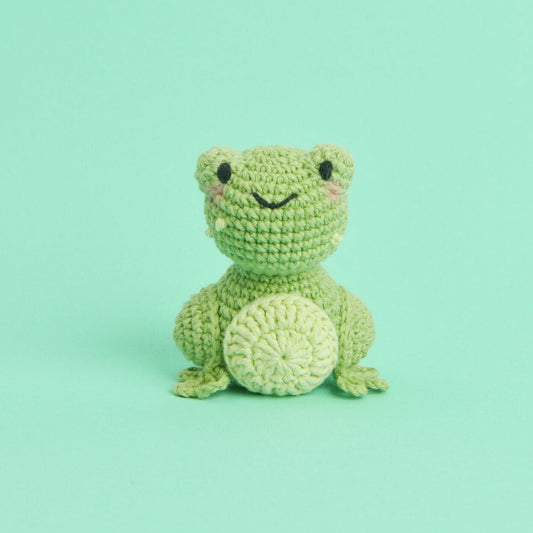 Kit crochet Ricorumi Mini Easy - Grenouille