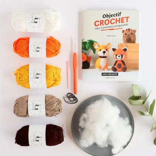 Kit crochet Mes premiers amigurumis